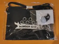 Item thumbnail for item 21e6a54c-cf5c-4906-b045-a1b44b403522