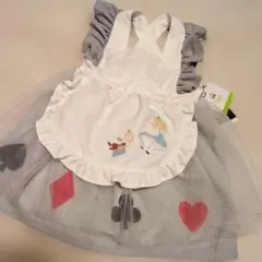 Item thumbnail for item 4e733cd4-706c-4b33-a430-9628e74866f2