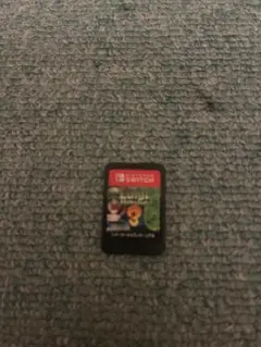 ルイージマンション3Nintendo Switch パッケージ版