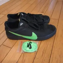 NIKE SB×POETS ZOOM BRUIN