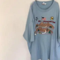 USA製 90s ヘインズ hanes オーバーサイズ Tシャツ