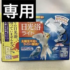 Item thumbnail for item fee32452-bd8e-466a-8393-8386bbf0d11f