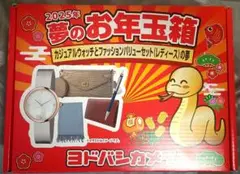 ヨドバシ 福袋 2025　カジュアルウォッチとファッションバリュー　メンズの夢 ヨドバシ『カジュアルウォッチとファッションバリューセット
