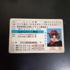 ニャン太郎 運転免許証カード