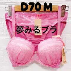 D70 トリンプ　夢みるブラ&ショーツ　#4