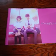 ストロボエッジパンフレット