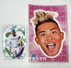 ファイターズ　水谷瞬　超夏祭りステッカー　KUBOTAトレカ