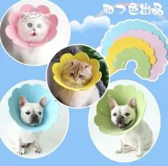 Item thumbnail for item c3848c85-4cc9-4a2e-9a3d-8435ddf0c494