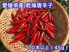 愛媛県産 乾燥唐辛子 70本以上 45g