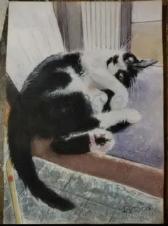 猫イラスト原画