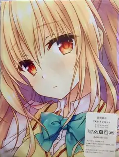 【ToLOVEる】 金色の闇 ヤミちゃん 等身大抱き枕カバー（B）　新品未開封品