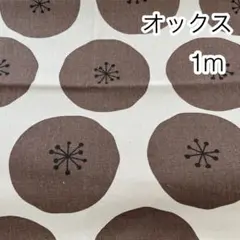 ラスト 1m あんぱんドット ブラウンドット オックス