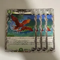 極楽鳥