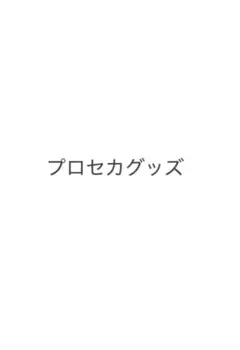 プロセカグッズ