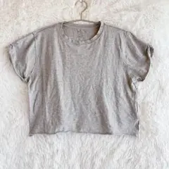WE THE FREE 【S】グレー クロップド半袖Tシャツ トップス