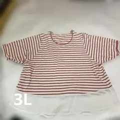 bitter syrup 赤白ストライプ 半袖Tシャツ　3L
