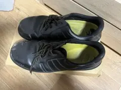 Item thumbnail for item 33461de6-803f-432f-9809-8ad222b86523