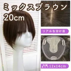 Item thumbnail for item c834b9fc-0183-4f6c-bcdb-f51c54ea4642