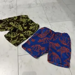 恐竜柄ハーフパンツ2着セット 95cm