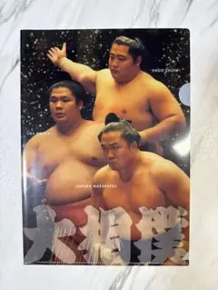 遠藤関 宇良関 石浦関 クリアファイル