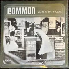 新品未開封Common Like Water for Chocolate 2LP