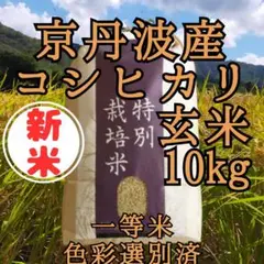 コシヒカリ玄米10kg一等米●外箱なし● 令和4年産 京丹波産 玄米10キロ