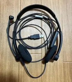 Item thumbnail for item 0b9ceac9-1d19-4a70-a736-94d89624d055