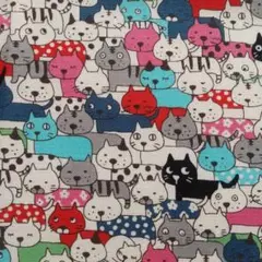 猫さん いっぱい A