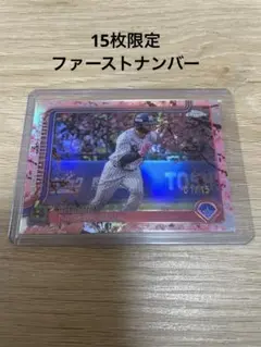 Item thumbnail for item e593228e-951a-4fba-9539-81555ea586f8