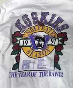 90’s ビンテージ　USA製 スウェット　ワシントン大学　W Huskies