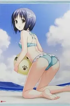 新品未使用 夏の想い出 橋本タカシ B2タペストリー
