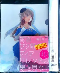 特装版 青春ブタ野郎はディアフレンドの夢を見ない タペストリー付きメロン限定版