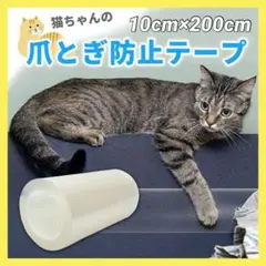 Item thumbnail for item e15550d2-58f8-42ec-9289-5779fcd6c956