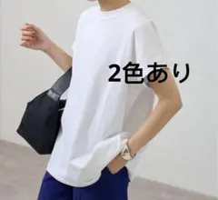 ATON/エイトン 12/-AIR SPININNG OVERSIZED PUL
