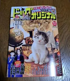 ビッグコミックオリジナル 9月5日 17号
