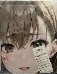 タペストリー　B1サイズ約103㎝×73㎝