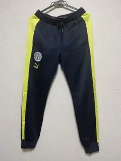 Item thumbnail for item 555e1510-1530-44de-bb41-f94494d471c0