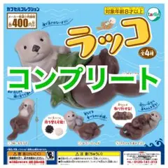 ラッコ　ガチャ　ターリン　コンプリート　ガチャ　カプセルトイ