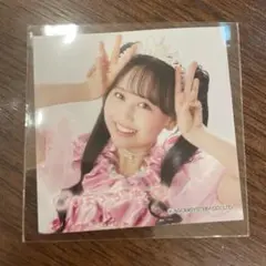 松本かれん ライブ限定 ステッカー シール