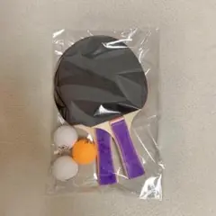 【新品】卓球5点セット ラケット2枚 玉3個 ケースなし 初心者 遊び ピンポン