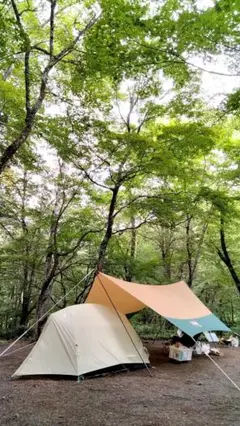 コールマンタープ