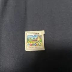 どうぶつの森シリーズ 2本セット