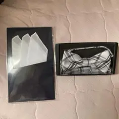 Item thumbnail for item 7182c6f1-3304-4481-8c5a-622f76f23c35