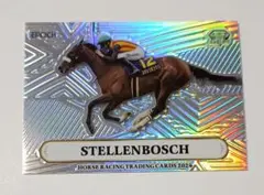 18枚限定 ステレンボッシュ ホースレーシング カード 2024 GEM 競馬