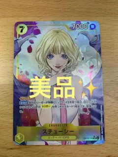 【美品】SRパラレル ステューシー