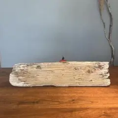 Item thumbnail for item 84945f41-b7a9-4735-83c2-a6514772b805