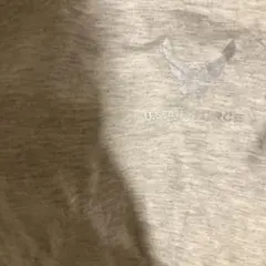 U.S. AIR FORCE グレー Tシャツ　M リフレクター　反射素材