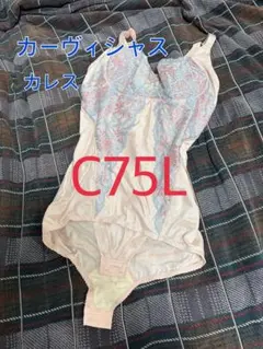 Item thumbnail for item 6a75b989-d758-4484-9cdb-58e362174439