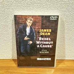 理由なき反抗 特別版('55米) 動作確認済み