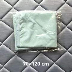 Item thumbnail for item fb31af3a-4a51-4004-b2ba-0759738d04dd